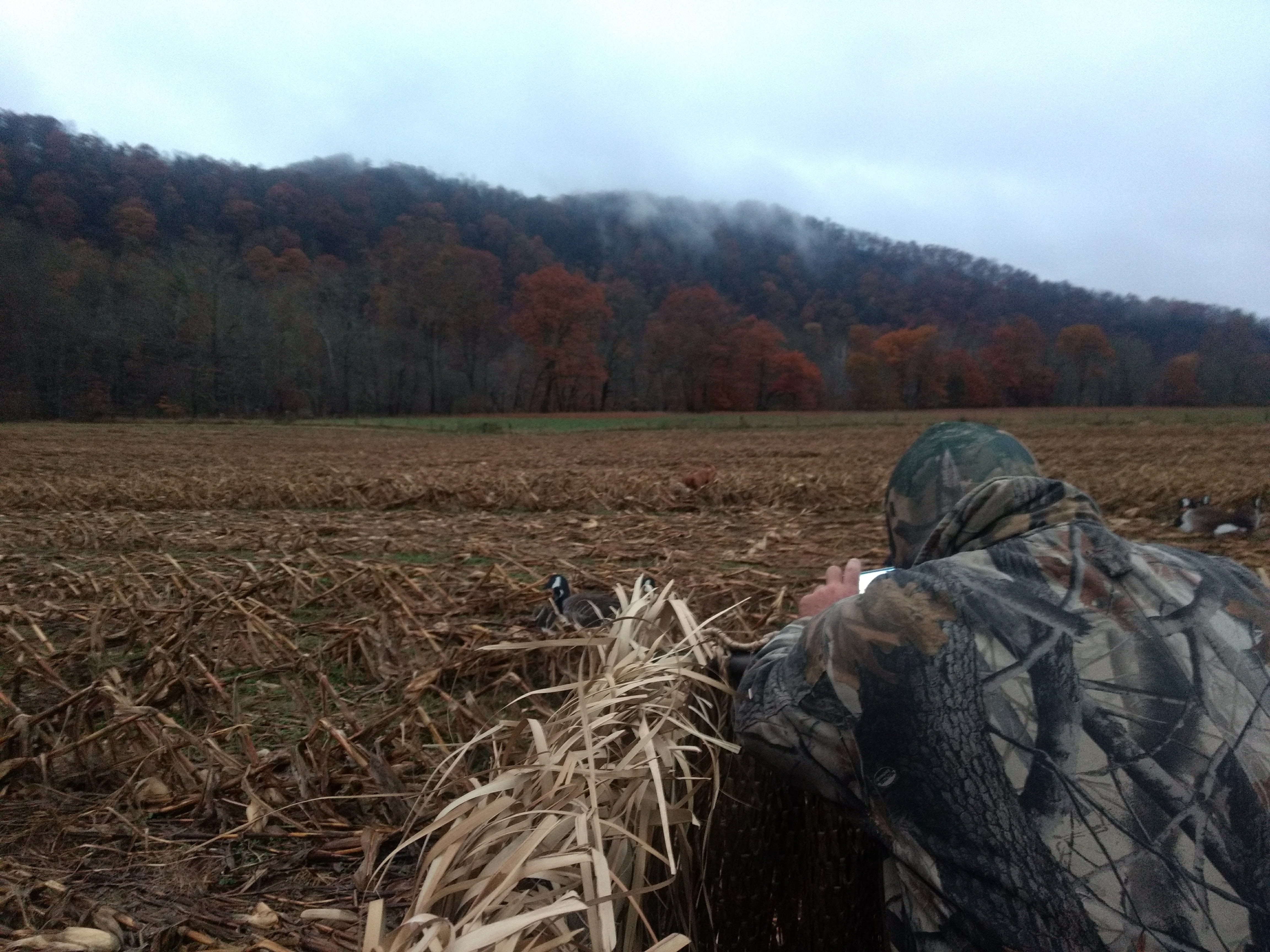 Canada Goose Hunts and Waterfowl Hunts MD WV DE NY AR VT