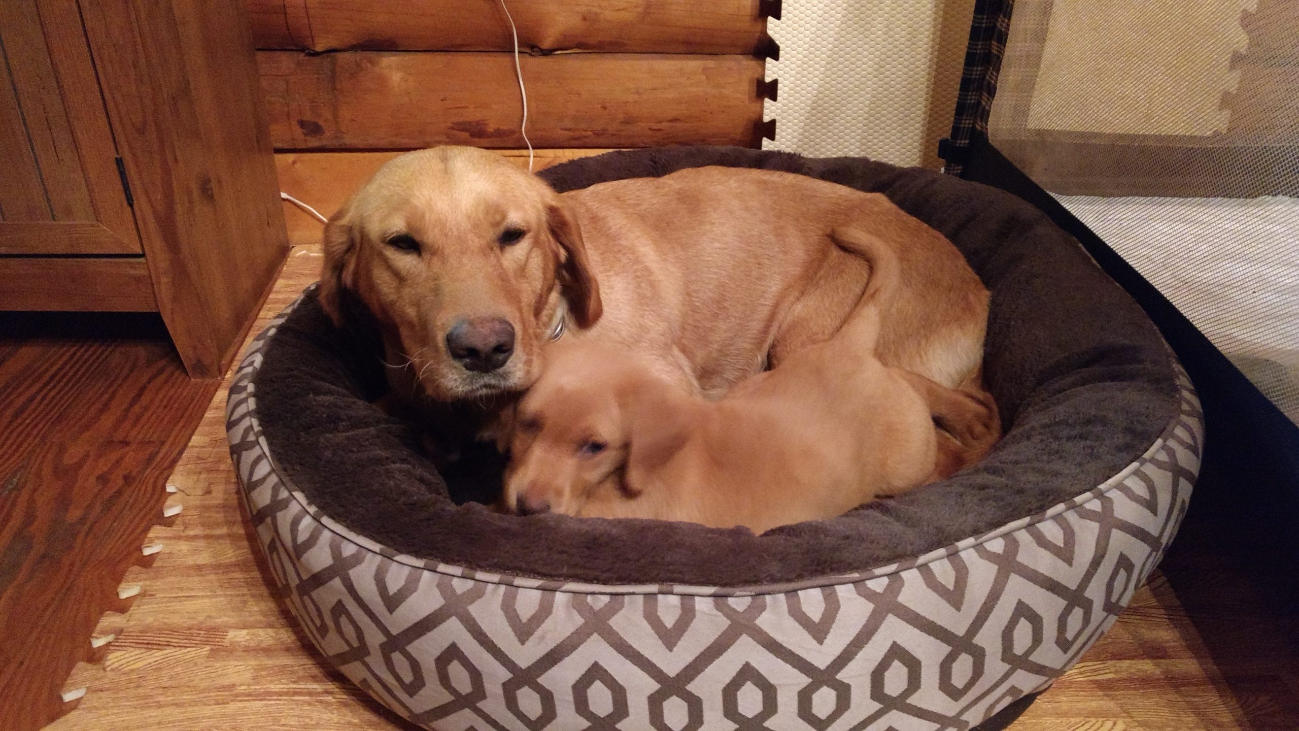 IMG_20170307_185223945